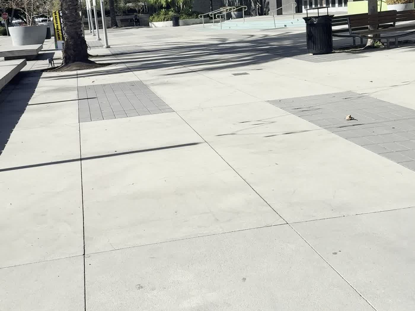 Outdoor pedestrian plaza with palm trees